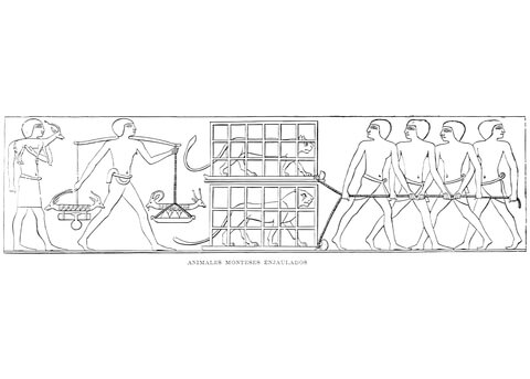 Ancient Egyptian Depiction Of Wild Animals In Captivity Coloring Page